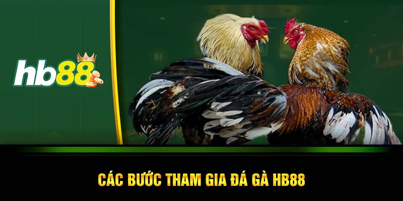 Các bước tham gia đá gà HB88