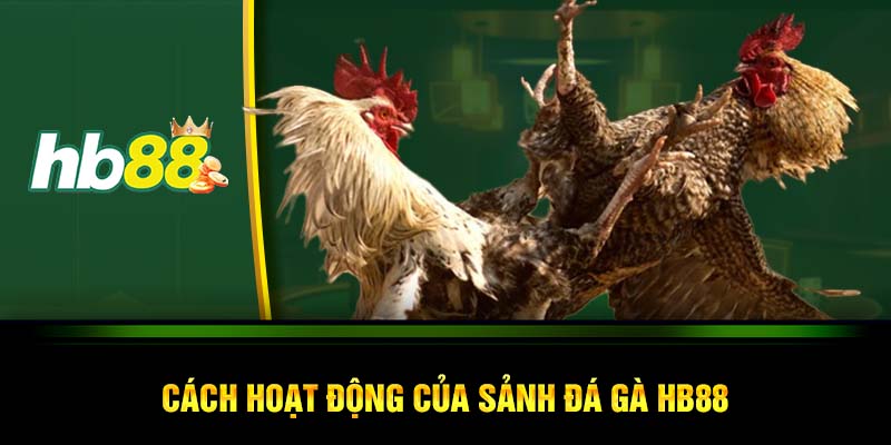 Cách hoạt động của sảnh đá gà HB88