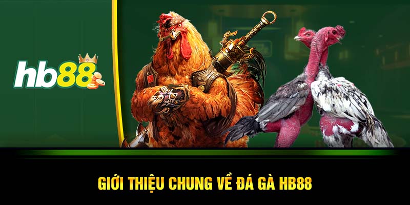 Giới thiệu chung về đá gà HB88