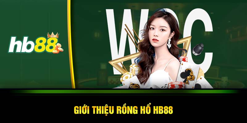 Giới thiệu rồng hổ HB88